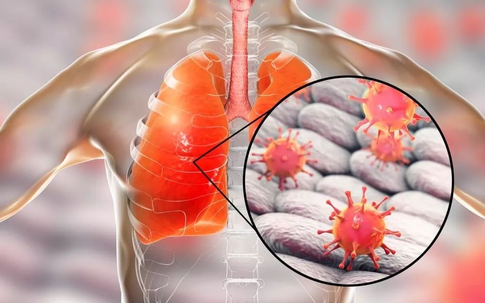 阿贾克斯发布备战花絮,清晨门线救险,足总杯任务艰巨,医务组通报恢复(足总杯半决赛今晚开战) 阿贾克斯发布备战花絮,清晨门线救险,足总杯任务艰巨,医务组通报恢复(足总杯半决赛今晚开战)